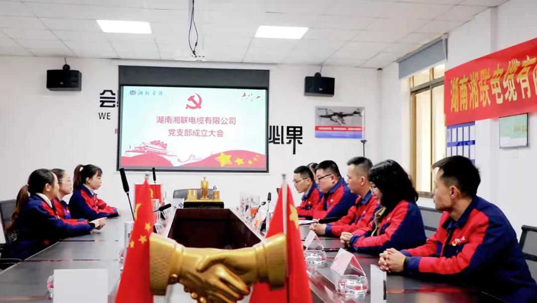 新征程 | 熱烈祝賀湖南湘聯電纜有限公司黨支部正式成立！